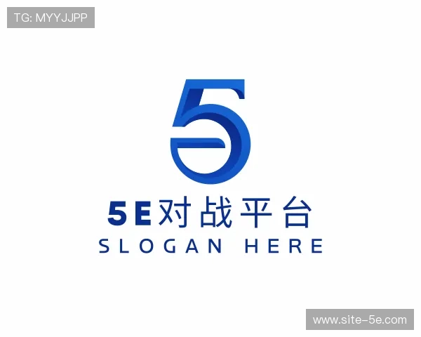 关于5e对战官网